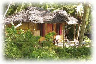 Agastya Ayurveda Garden