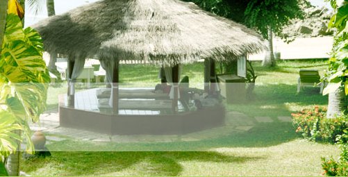 Kerala Ayurvedic Treatment & Wellness Centre