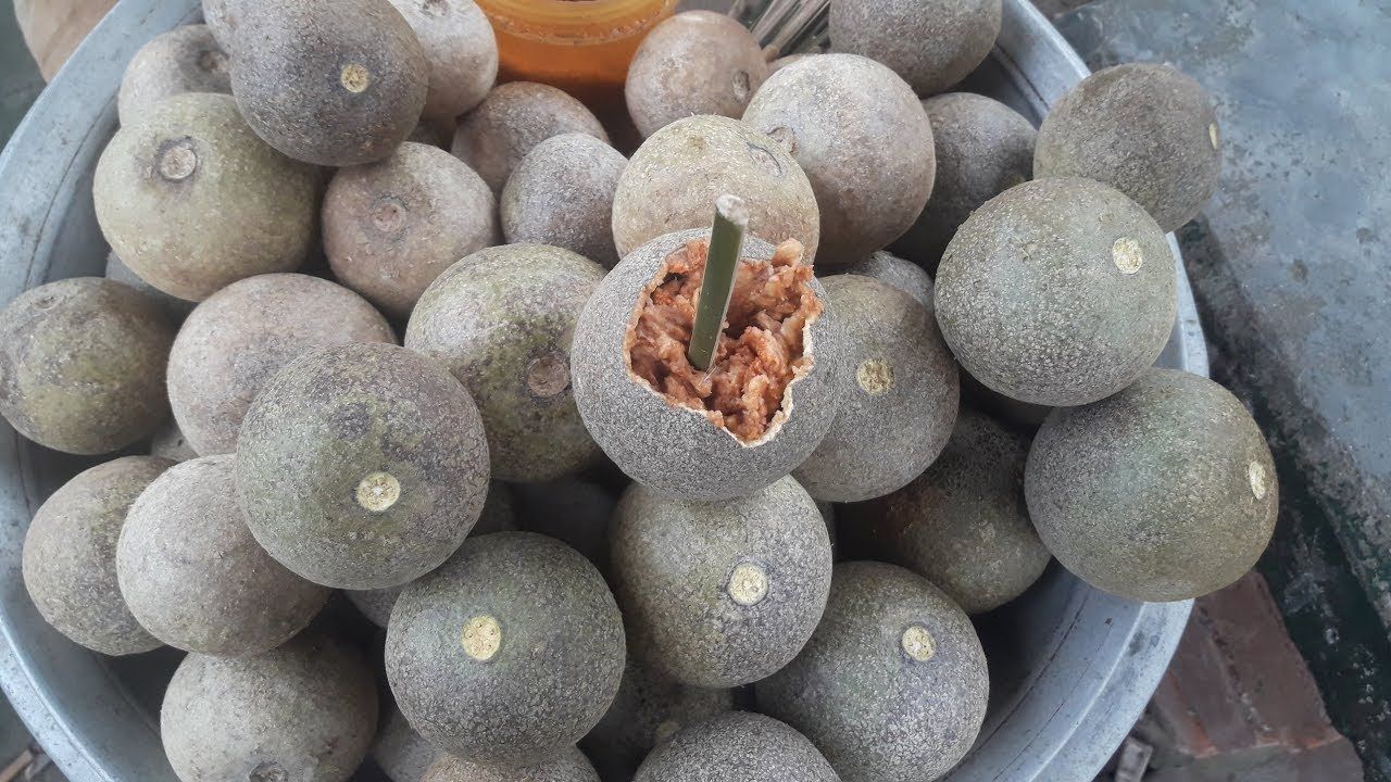 kapittha : Feronia limonia, Limonia acidissima Linn.
