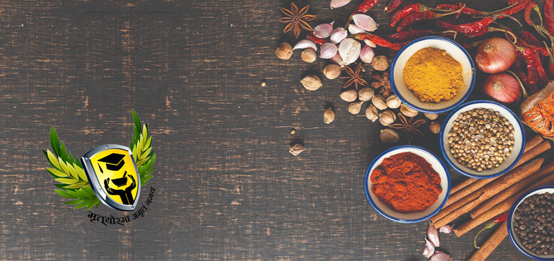 Prakriti Food Plans Traditional Ayurvedic Life Health 